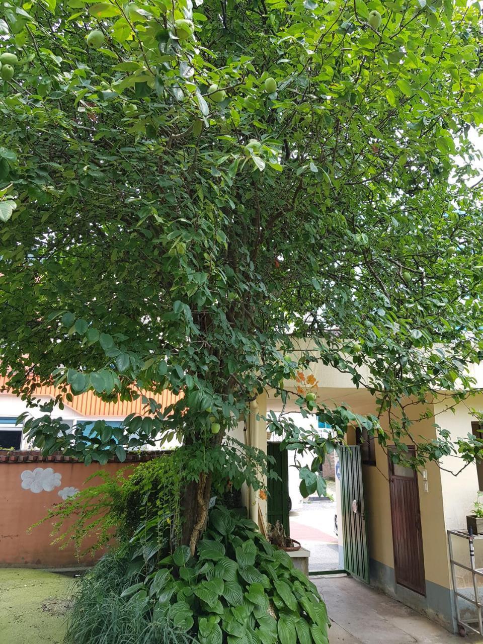 Hotel Jnw Minbak Damyang Exterior foto